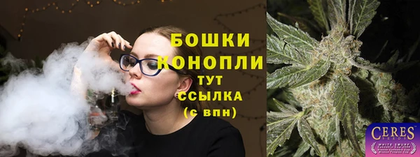 ПСИЛОЦИБИНОВЫЕ ГРИБЫ Елабуга