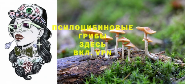 круглые Аркадак
